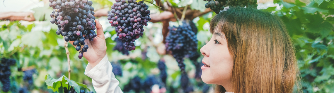 femme vigneronne